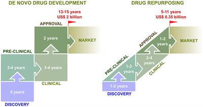 Drug Repurposing Approaches for the Treatment of Influenza Viral Infection: Reviving Old Drugs to Fight Against a Long-Lived Enemy